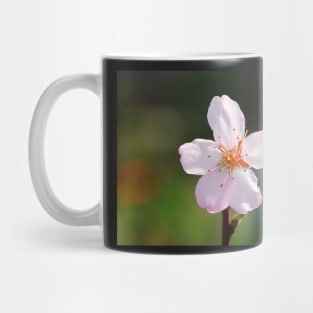 Almond Blossom Mug